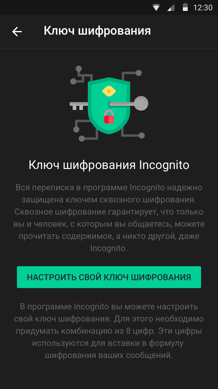 Incognito App Screen 10